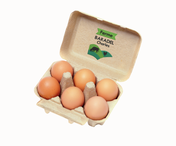 Oeufs Frais Fermiers Bio - Boîte de 6 (gros)